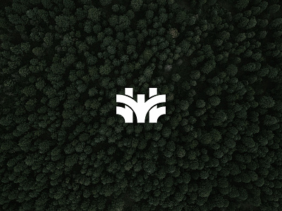 Wair design detroit graphic icon logo nature thick tree type