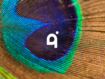 Pavo bird design graphic icon illustration logo nature peacock