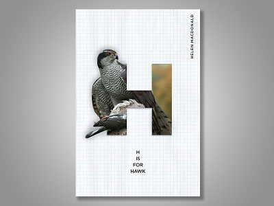 H is for Hawk Book Cover book cover illustration literature typography