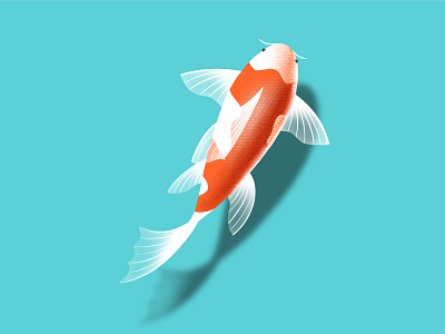 Kai Fish digital art digital illustration inspiration koi fish procreate procreate app