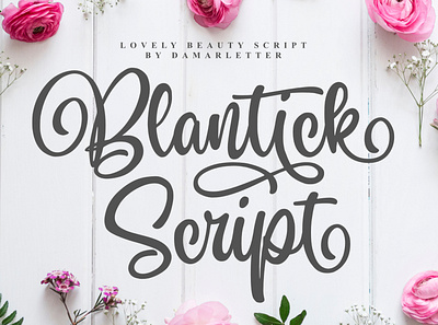 Blantick Script branding design font font awesome font bundle font collection identity lettering type typography