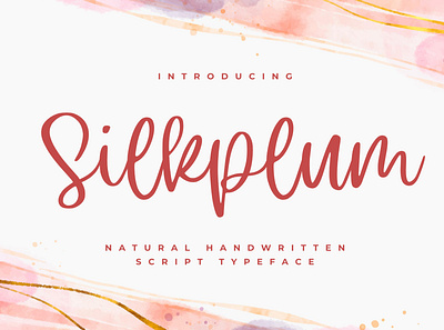 Silkplum branding design font identity illustration lettering logo type typography ui