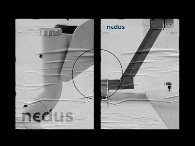nedus logo | wordmark