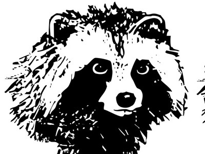 Vectorised raccoon for the logo