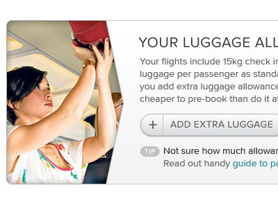 Luggage flights luggage