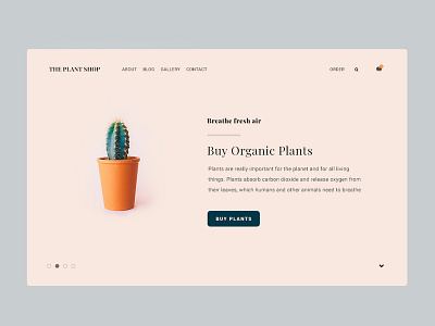 Plants branding design flat plant typography ux web design