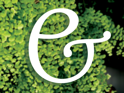 Ampersand calligraphy lettering logo typedesign vector