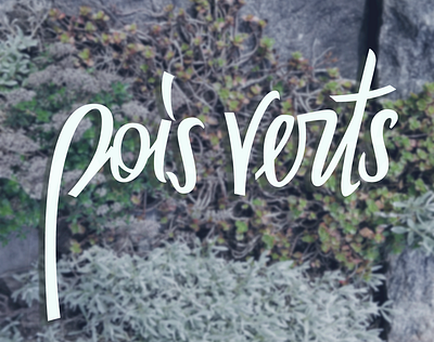 Pois Verts calligraphy design lettering logo typedesign typography vector