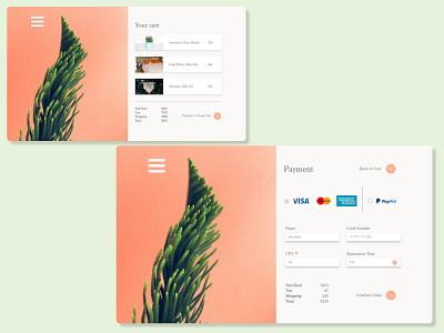 Daily UI 002 // Checkout branding checkout credit card checkout creditcard daily2 dailyui design flat minimal store store design ui ux