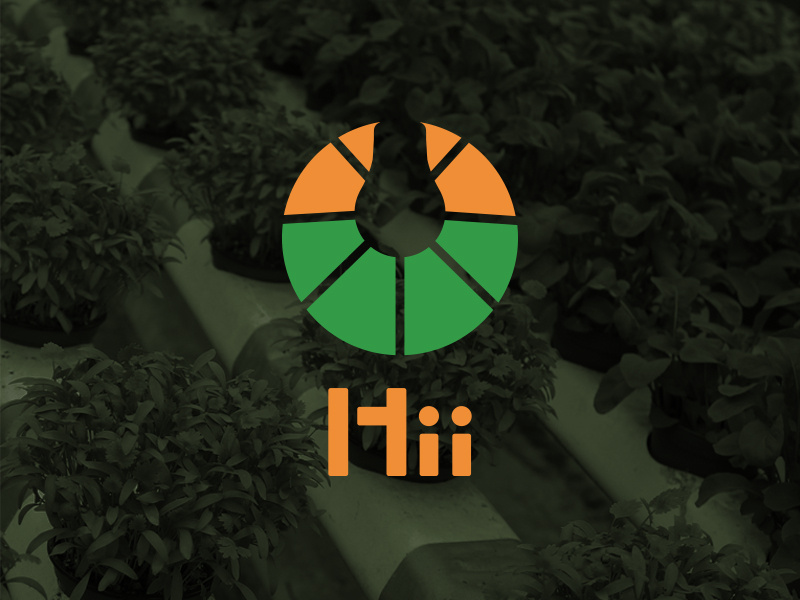 Hii logo mark green orange identity lightbulb
