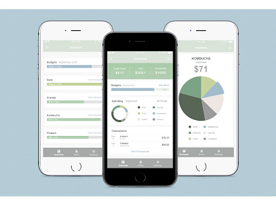 Personal Finance App