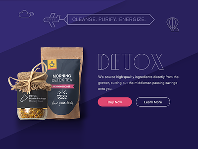 Morning Detox Tea body detox express fasting programs smart ux vegetarian web webdesign