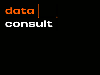 Branding for Logistic IT Company | Data Consult