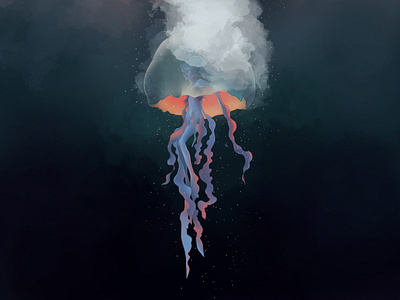 Jellyfish artwork character design concept art digital digital 2d illustration jellyfish