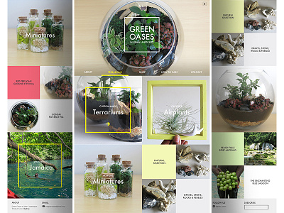 Green Oases Landing Mock branding green oases identity landing page logo nature plants terrarium user interface visual design web design