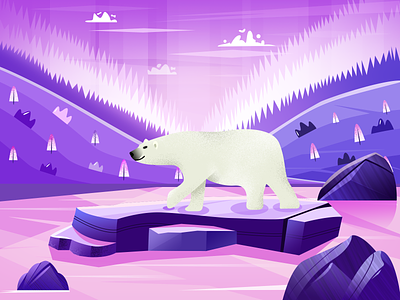 white bear illustration