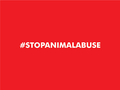 #stopanimalabuse abuse animal campaign care rescue save stop