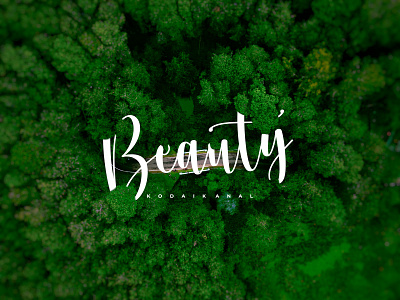 Beauty brand branding design flat identity illustration illustrator kodaikanal logo photography type