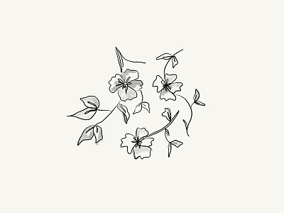 flower illustration floral floral illustration flower flower illustration handdrawn illuatration minimal