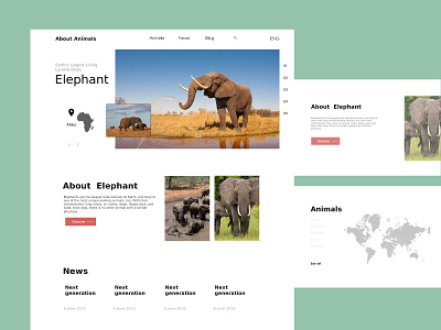 Animals Discover design photography photoshop ui ux web website