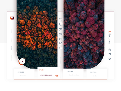 Four SeaSons -Ui autumn clean design identity inspiration landing page minimal spring talavadze ui unsplash