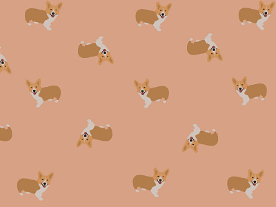 pink corgi nation