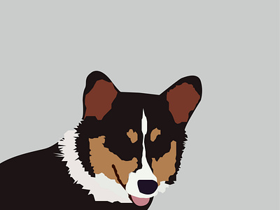 corgi illustrated portrait