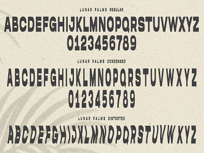 LUNAR PALMS FONT branding design graphic design illustration type typography