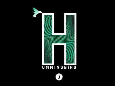 Concept Logo | Hummingbird adobe illustrator concept logo graphic design logo logo design vector vector graphic