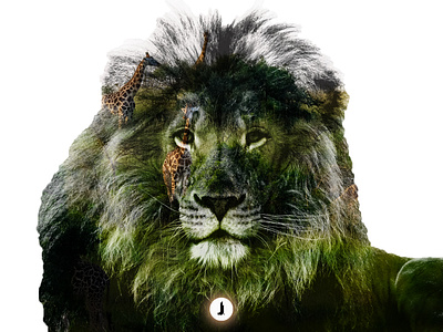 Double Exposure | Lion | Photography Project