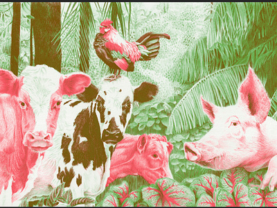flora & fauna ballpoint ballpoint pen cow drawing hand drawn illustration pig riso risograph rooster