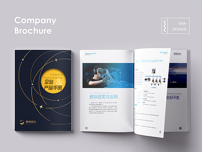 Company Brochure branding brochure business card