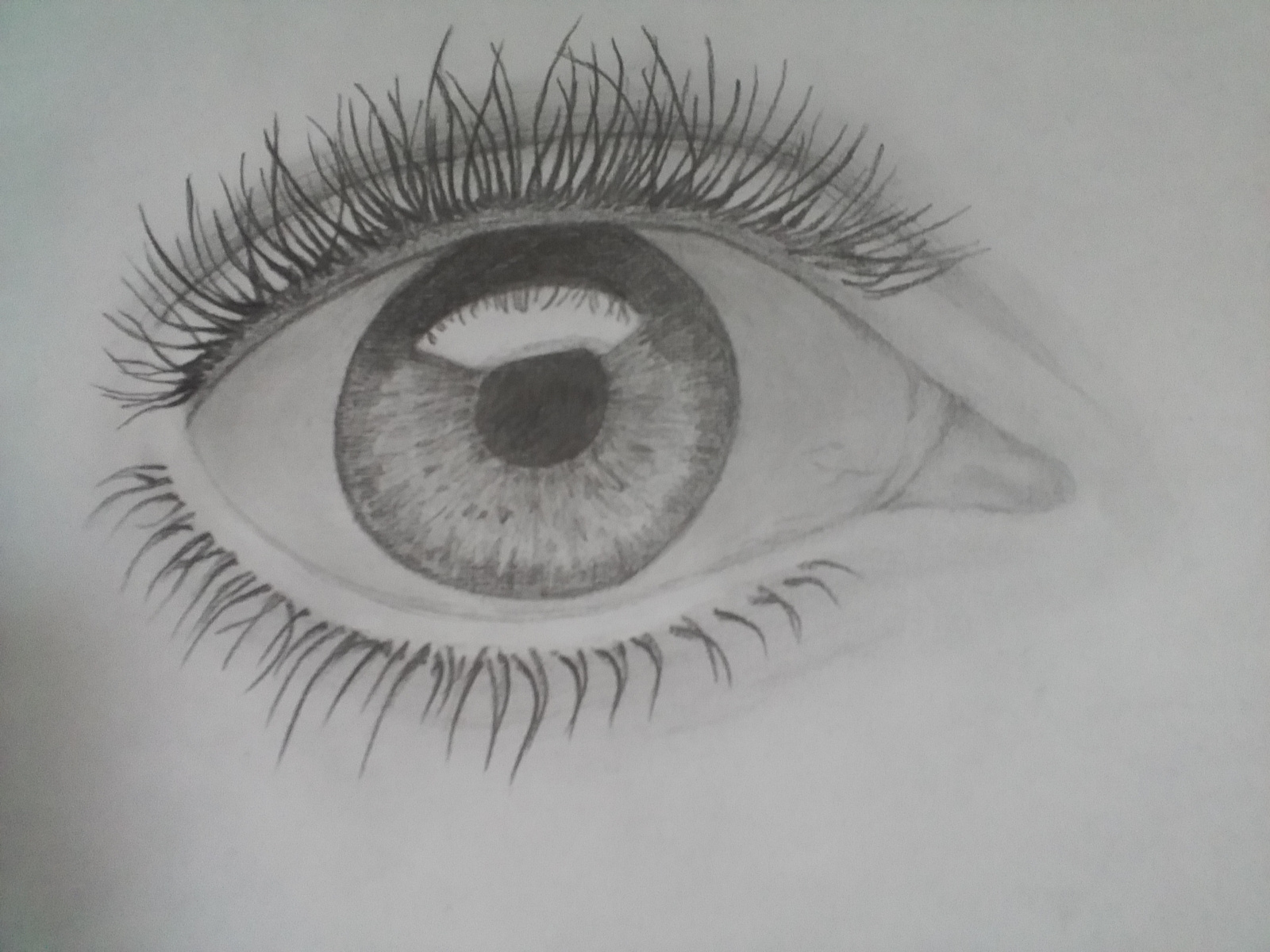 eye (traditional art) by Darina Miroshnichenko on Dribbble