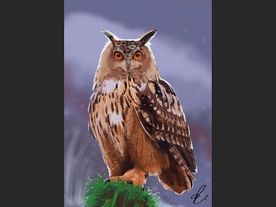 Eurasian eagle owl adobe photoshop bird bird of prey digital art digital illustration digital painting digitalart illustration moonlight night owl photoshop wacom cintiq