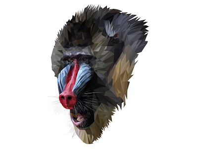 Baboon adobe illustrator character design drawing high poly illustration love animals low poly art triangle vector