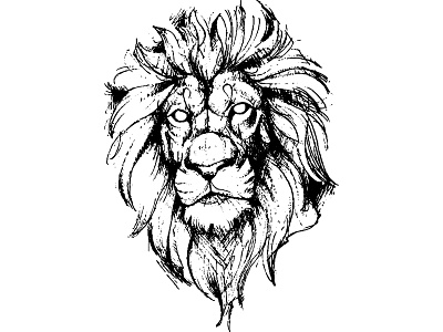 Lion sketch adobe illustrator design draw drawing graphic art lion head love animals vector