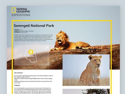 Little map for National Geographic Expeditions 029 card dailyinspiration dailyui digitaldesign expedition explore geographic map design national geographic nature ui webdesign wild yellow