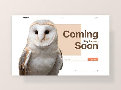 Coming Soon clean comingsoon dailyinspiration dailyui dailyui048 design digitaldesign figma flat interface owl ui webdesign
