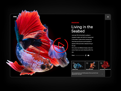 Video Player dailyui dailyui057 fish landing page sea seabed videoplayer