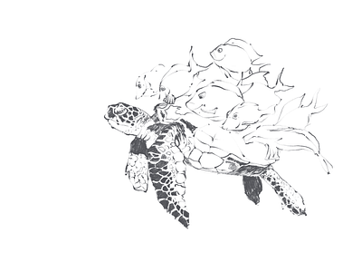 Turtle taxi art freelance illustration sketch