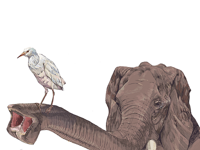 Friendship art elephant freelance illustration
