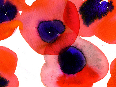 Stina Perssson x Vogue Russia 2d colour commercial design digital graphic design illustration poppies vogue water color