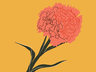 Hannah Warren 'Chrysanthemum' colour design digital floral flower graphic design hannah warren illustration illustrator jelly london