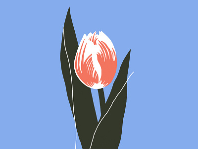 Hannah Warren 'Flora Striped Tulip' 2d colour design digital floral flower graphic design hannah warren illustration illustrator jelly london