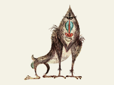 Baboon animal baboon cerriteno illustration monkey stylized texture watercolor