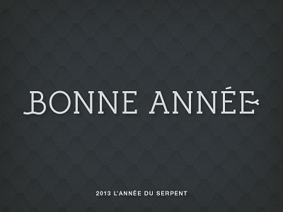 Bonne Année 2013 typography