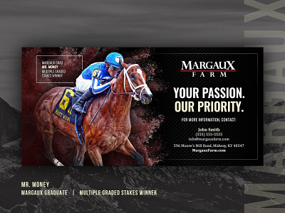 Margaux Farm: Print Advertisement banner design digital graphic graphic design horse racing magazine print