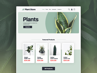 Website Concept: Lifestyle E-Commerce banner bigcommerce design ecommerce graphic design home page landing page nature plants web webdesign webdesigner webdesigns website