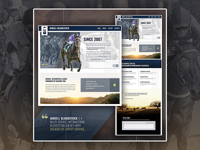 Website Layout: Thoroughbred & Horse Industry agriculture banner design graphic design home page horse horse racing landing page web web design website