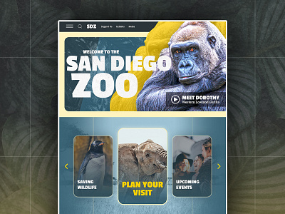 Website Concept: Zoo & Wildlife animals banner design desktop app digital digital graphic gorilla graphic design homepage landing page nature tourism web design website websites wildlife